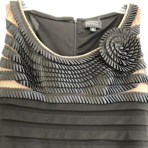 Adrianna Papell Dress, Size 6 PETITE